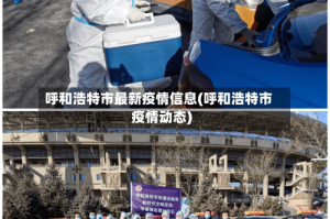 呼和浩特市最新疫情信息(呼和浩特市疫情动态)