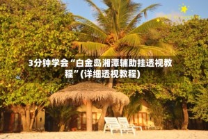 3分钟学会“白金岛湘潭辅助挂透视教程”(详细透视教程)