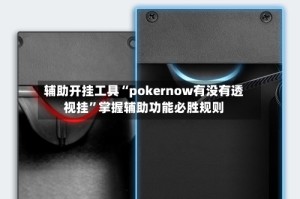 辅助开挂工具“pokernow有没有透视挂”掌握辅助功能必胜规则