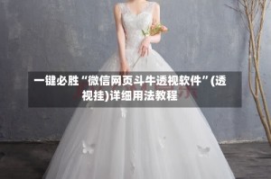 一键必胜“微信网页斗牛透视软件”(透视挂)详细用法教程