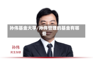 孙伟基金大学/孙伟管理的基金有哪些