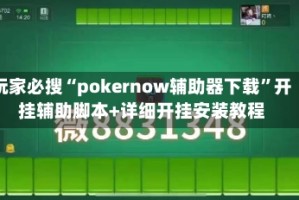 玩家必搜“pokernow辅助器下载”开挂辅助脚本+详细开挂安装教程