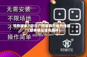 可用版本“微乐广西麻将万能开挂器”(原来确实是有插件)
