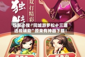 玩家必搜“同城游罗松十三道透视辅助”原来有神器下载！