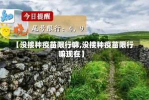 【没接种疫苗限行嘛,没接种疫苗限行嘛现在】
