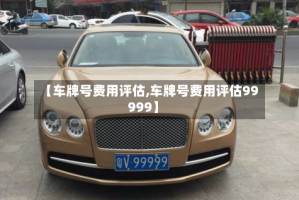 【车牌号费用评估,车牌号费用评估99999】
