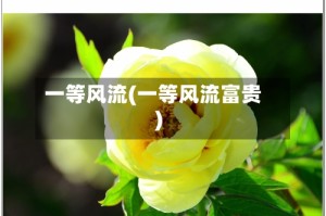 一等风流(一等风流富贵)