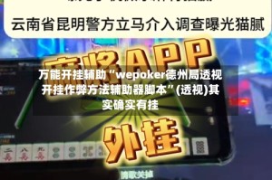 万能开挂辅助“wepoker德州局透视开挂作弊方法辅助器脚本”(透视)其实确实有挂