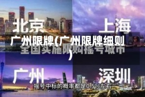 广州限牌(广州限牌细则)