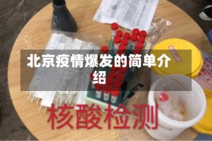 北京疫情爆发的简单介绍