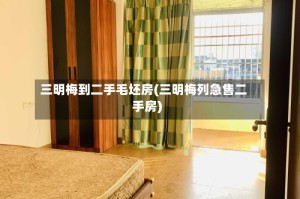 三明梅到二手毛坯房(三明梅列急售二手房)