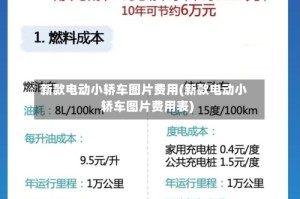 新款电动小轿车图片费用(新款电动小轿车图片费用表)