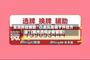 实测开挂辅助“白金岛跑胡子开挂方法”(曝光透视必备猫腻)