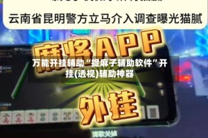 万能开挂辅助“捉麻子辅助软件”开挂(透视)辅助神器