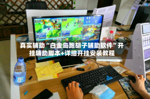 真实辅助“白金岛跑胡子辅助软件”开挂辅助脚本+详细开挂安装教程