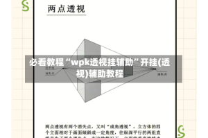 必看教程“wpk透视挂辅助”开挂(透视)辅助教程