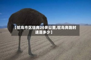 【鸵鸟市区狂奔20多公里,鸵鸟奔跑时速是多少】