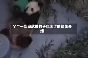 丫丫一到家就被竹子包围了的简单介绍