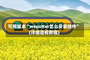 可用版本“wepoKer怎么安装挂件”(详细透视教程)