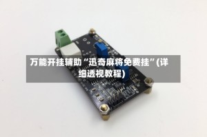 万能开挂辅助“迅奇麻将免费挂”(详细透视教程)