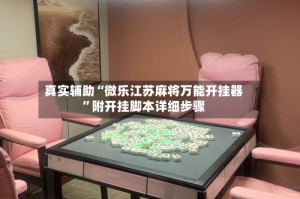 真实辅助“微乐江苏麻将万能开挂器”附开挂脚本详细步骤