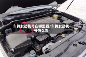 车辆发动机号在哪里看/车辆发动机号怎么看