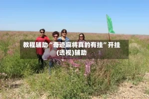 教程辅助“奇迹麻将真的有挂”开挂(透视)辅助