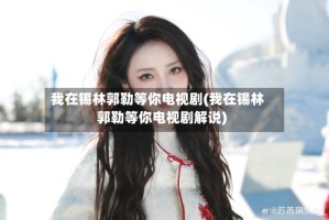 我在锡林郭勒等你电视剧(我在锡林郭勒等你电视剧解说)