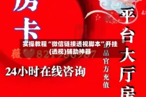 实操教程“微信链接透视脚本”开挂(透视)辅助神器