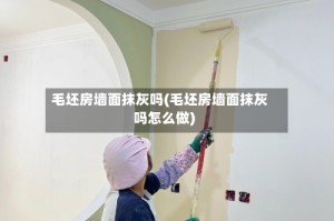 毛坯房墙面抹灰吗(毛坯房墙面抹灰吗怎么做)