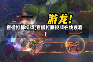 盲僧打野视频(盲僧打野视频在线观看)