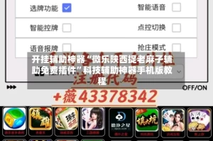 开挂辅助神器“微乐陕西捉老麻子辅助免费插件”科技辅助神器手机版教程