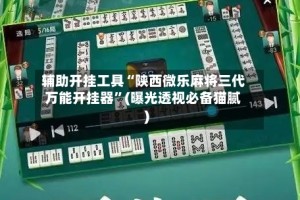 辅助开挂工具“陕西微乐麻将三代万能开挂器”(曝光透视必备猫腻)