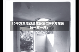 20平方车库改造成卧室(20平方车库改一室一厅)