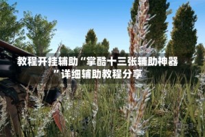 教程开挂辅助“掌酷十三张辅助神器”详细辅助教程分享