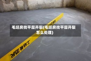 毛坯房找平层开裂(毛坯房找平层开裂怎么处理)