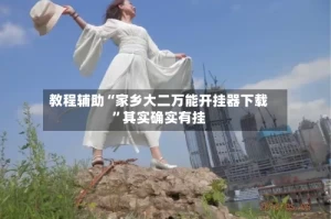 教程辅助“家乡大二万能开挂器下载”其实确实有挂