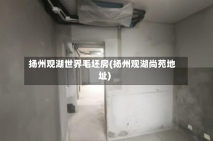 扬州观湖世界毛坯房(扬州观湖尚苑地址)
