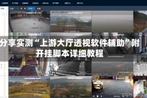 分享实测“上游大厅透视软件辅助”附开挂脚本详细教程