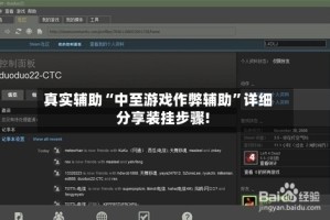 真实辅助“中至游戏作弊辅助”详细分享装挂步骤!