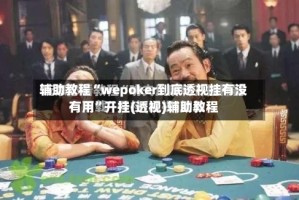 辅助教程“wepoker到底透视挂有没有用”开挂(透视)辅助教程