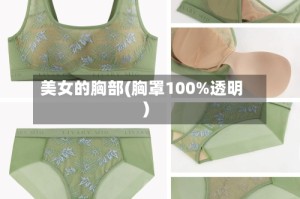 美女的胸部(胸罩100%透明)