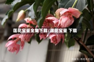 莲花宝鉴全集下载/莲花宝鉴 下载