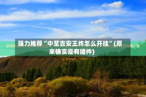 强力推荐“中至吉安王炸怎么开挂”(原来确实是有插件)