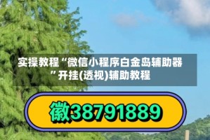 实操教程“微信小程序白金岛辅助器”开挂(透视)辅助教程