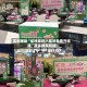 实测辅助“雀神麻将小程序免费开挂器”其实确实有挂