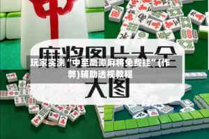 玩家实测“中至鹰潭麻将免费挂”(作弊)辅助透视教程