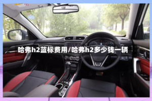 哈弗h2蓝标费用/哈弗h2多少钱一辆