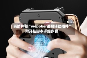 辅助神器“wepoker透视辅助插件”附开挂脚本详细步骤