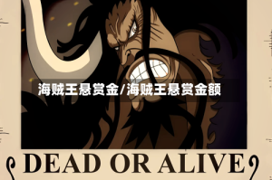 海贼王悬赏金/海贼王悬赏金额